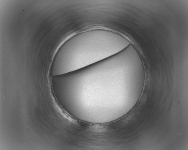 X0000082180806200701191051