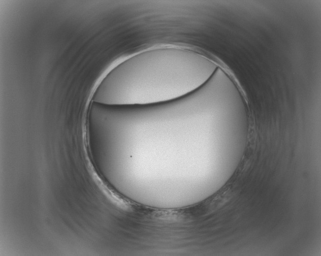 X0000082180811200701191051