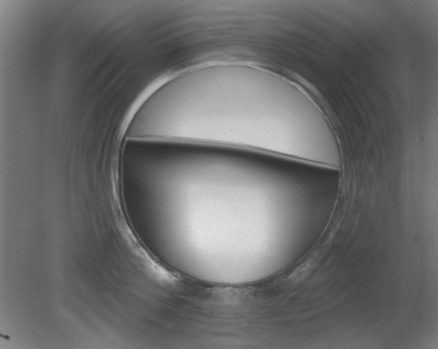X0000082180812200701191051