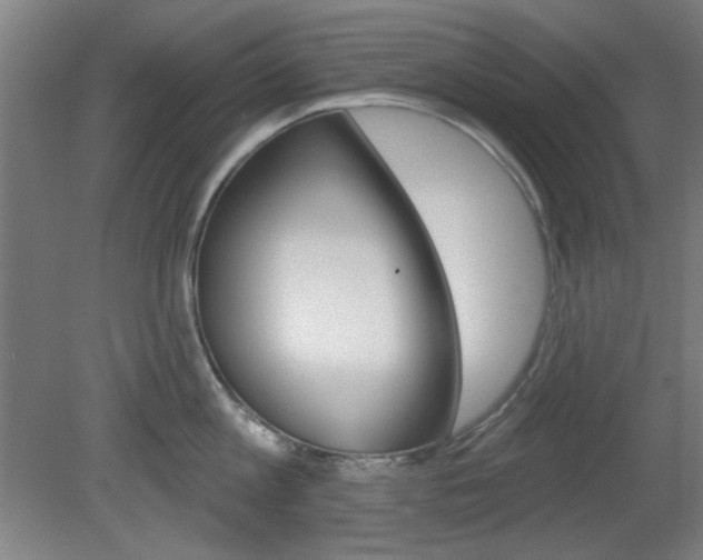 X0000082180813200701191051