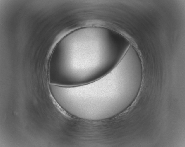 X0000082180816200701191051