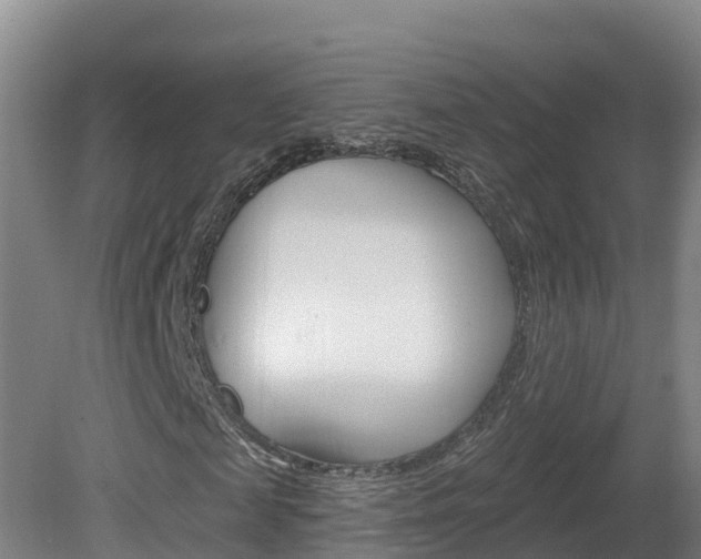 X0000082180817200701191050