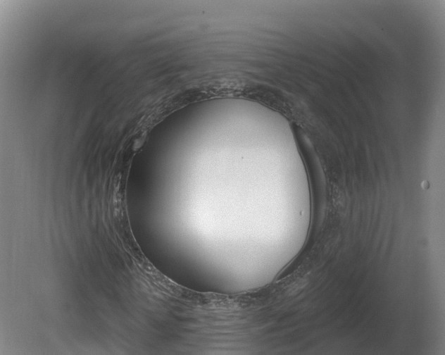 X0000082180818200701191050