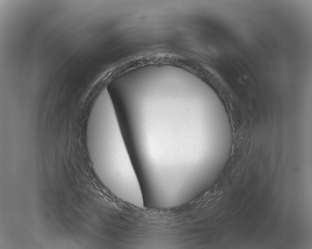 X0000082180823200701191050