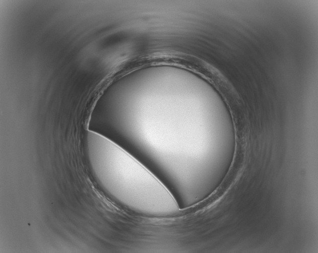 X0000082180825200701191050