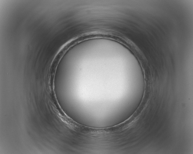 X0000082180830200701191050