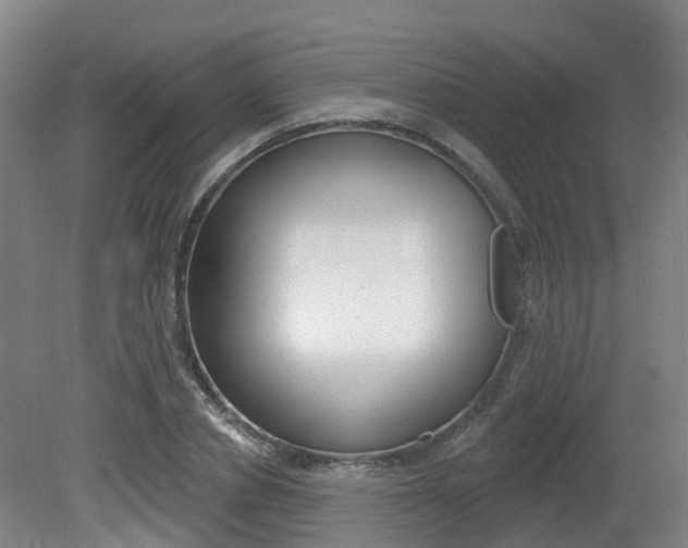 X0000082180834200701191050
