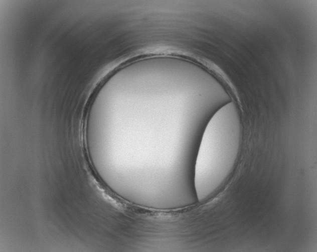 X0000082180839200701191050