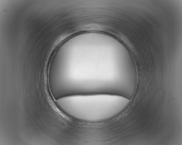 X0000082180840200701191050