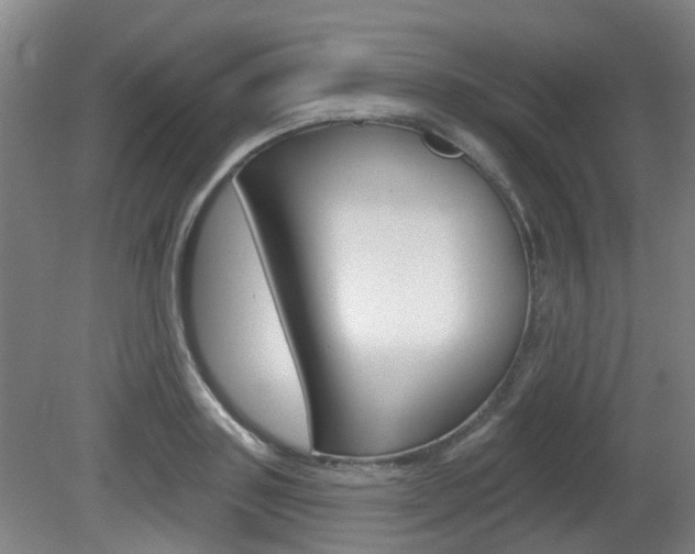 X0000082180843200701191050