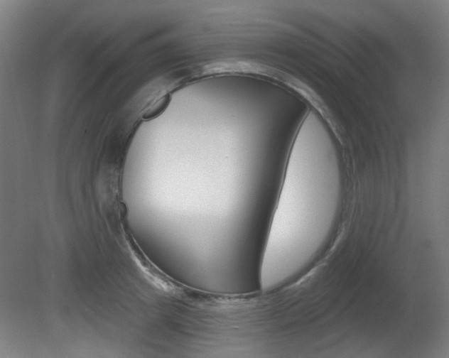 X0000082180849200701191050
