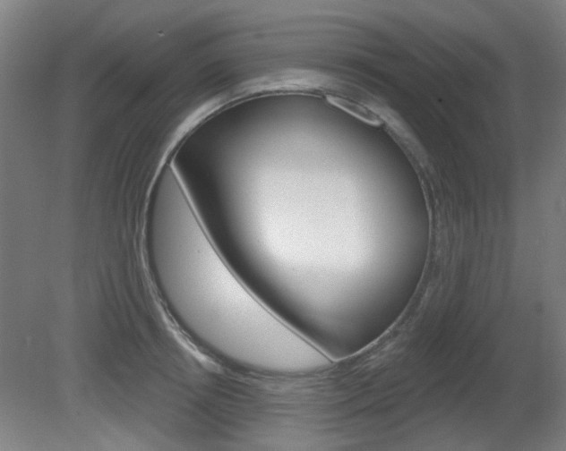 X0000082180850200701191051