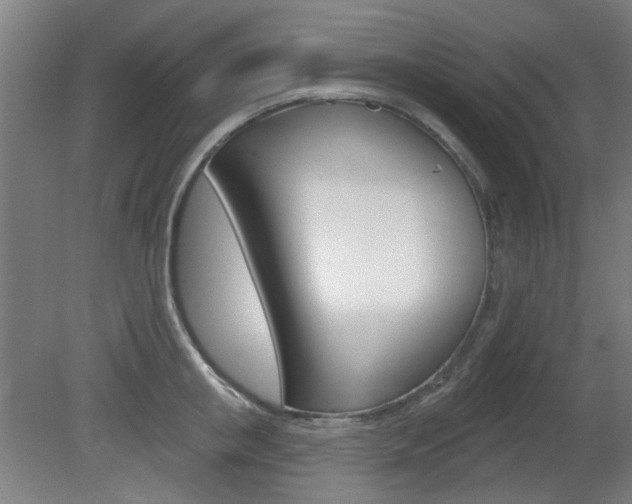X0000082180853200701191051