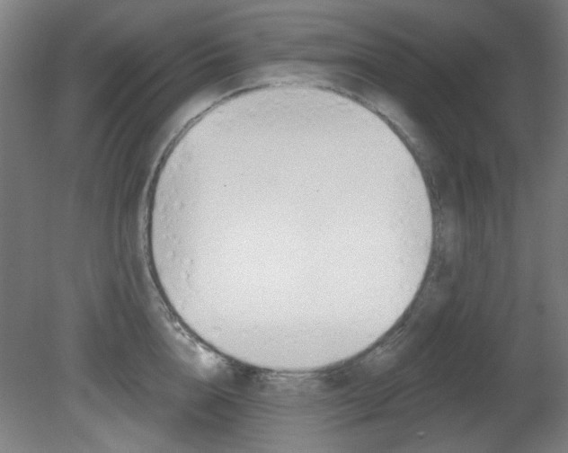 X0000082180856200701191051