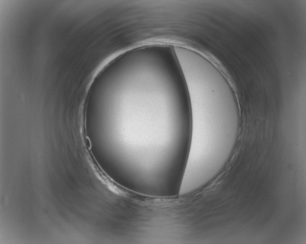 X0000082180862200701191051