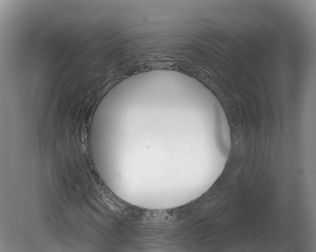 X0000082180866200701191050