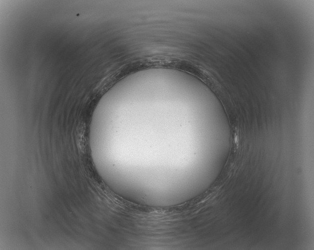 X0000082180867200701191050