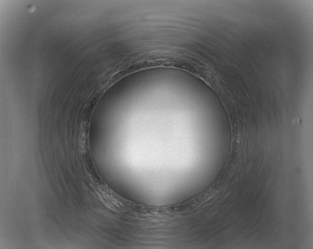 X0000082180868200701191050