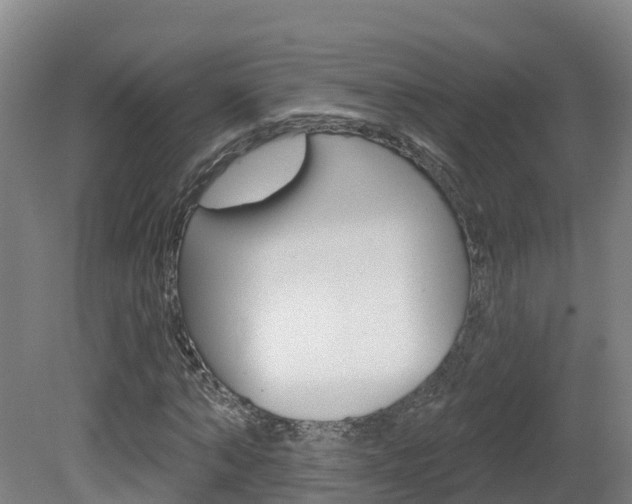 X0000082180870200701191050