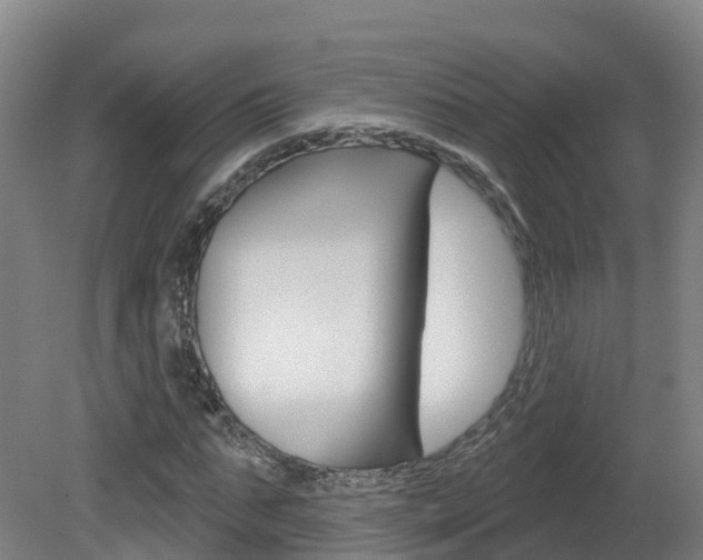 X0000082180871200701191050