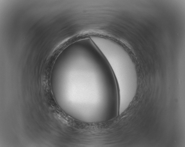 X0000082180872200701191050
