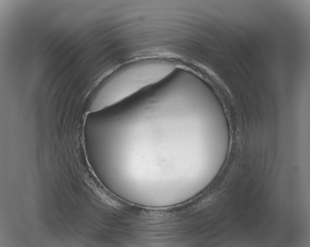 X0000082180873200701191050