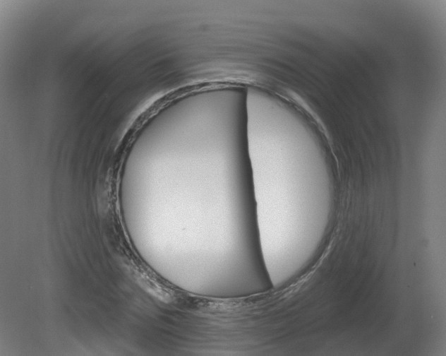X0000082180875200701191050