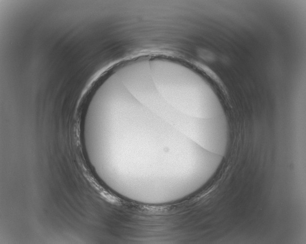 X0000082180878200701191050