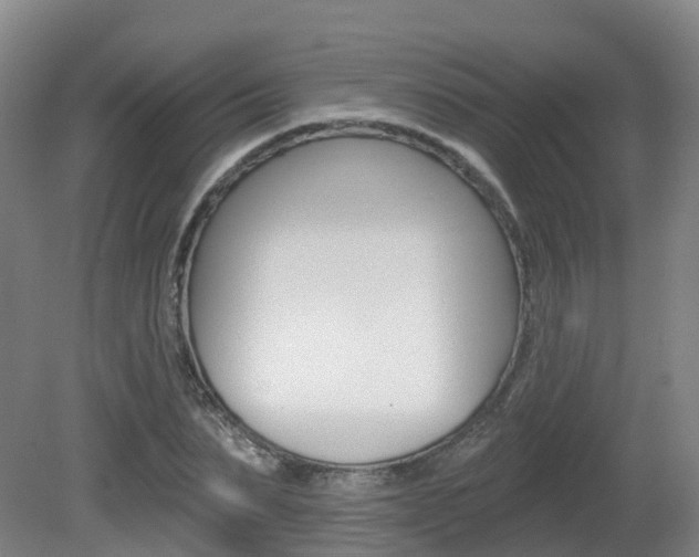 X0000082180879200701191050