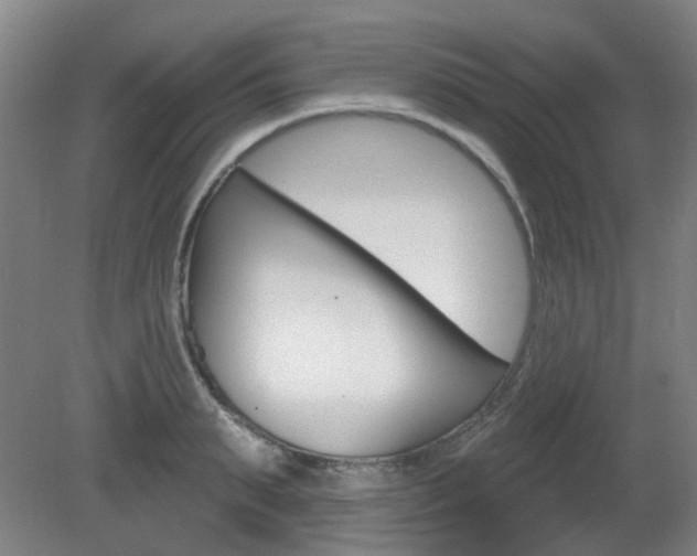 X0000082180895200701191049