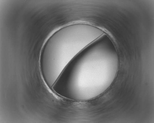 X0000082180902200701191049