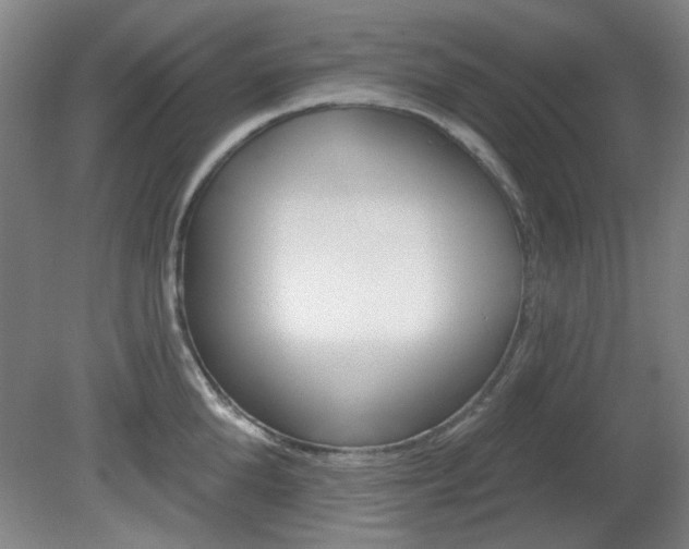X0000082180904200701191049
