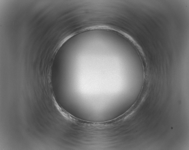 X0000082180905200701191049
