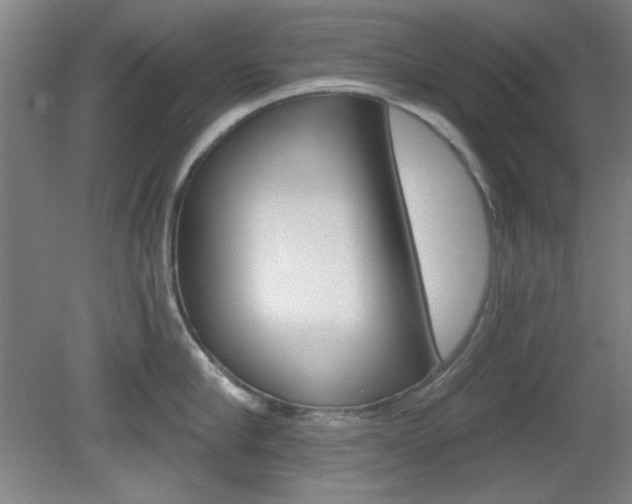 X0000082180910200701191049