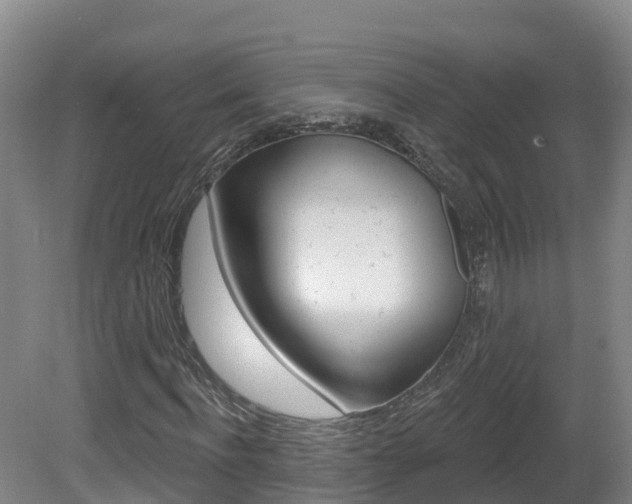 X0000082180916200701191048