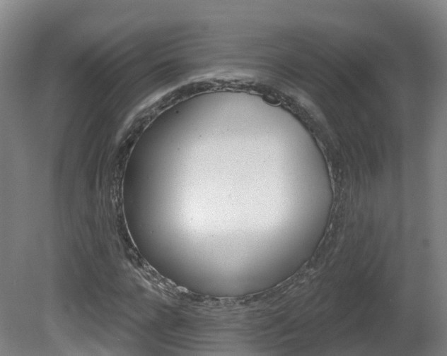 X0000082180920200701191048