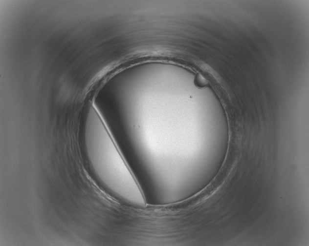 X0000082180922200701191048