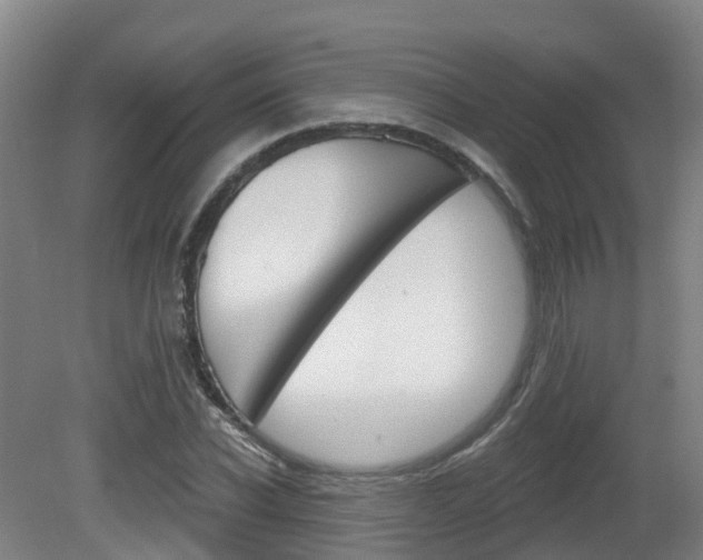 X0000082180926200701191049