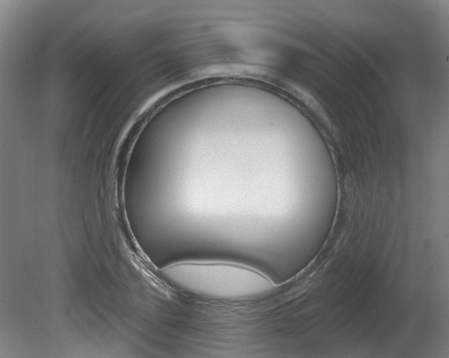 X0000082180931200701191049