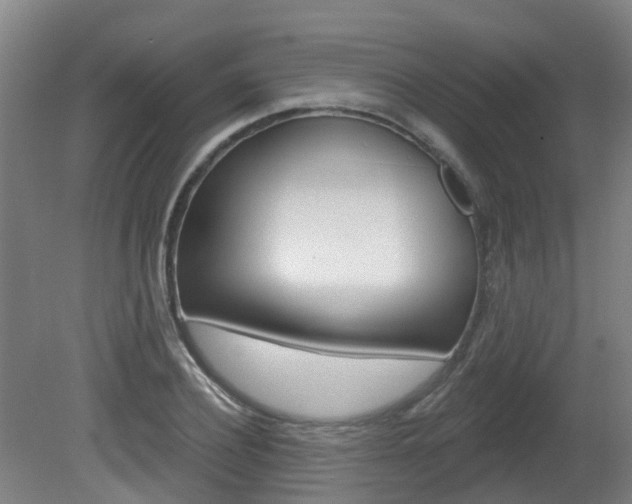 X0000082180932200701191049