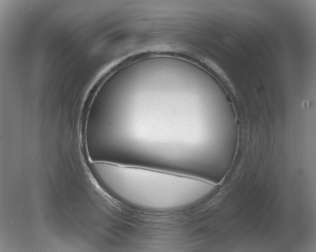 X0000082180935200701191049