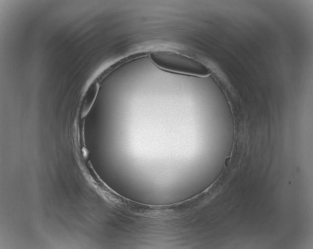 X0000082180936200701191049