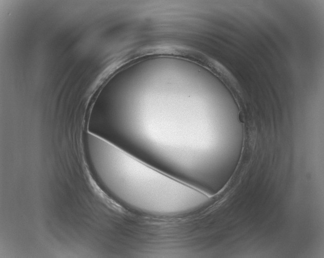 X0000082180938200701191049
