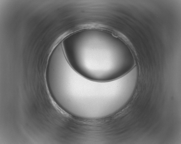 X0000082180946200701191049
