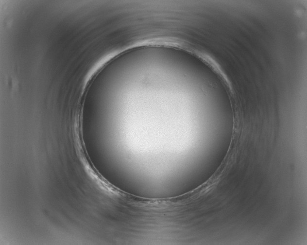 X0000082180952200701191049