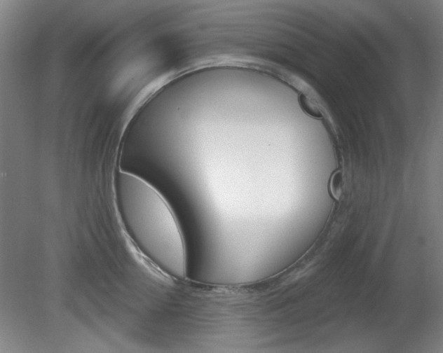 X0000082180954200701191049