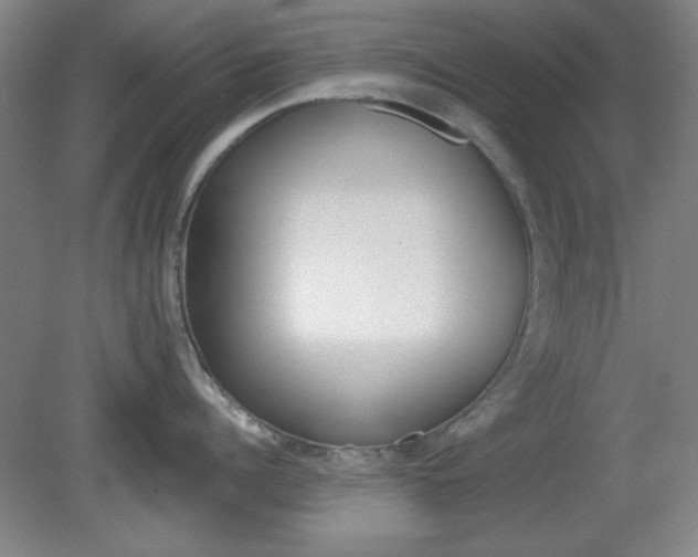 X0000082180960200701191049