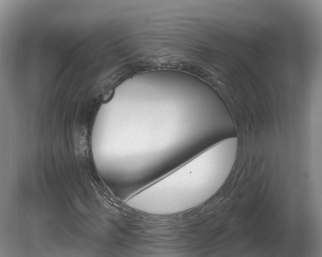 X0000082180963200701191048