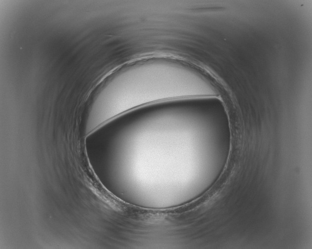 X0000082180969200701191048