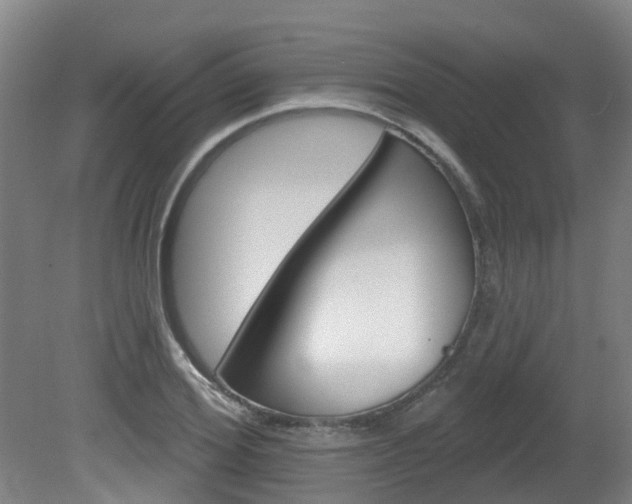 X0000082180980200701191048